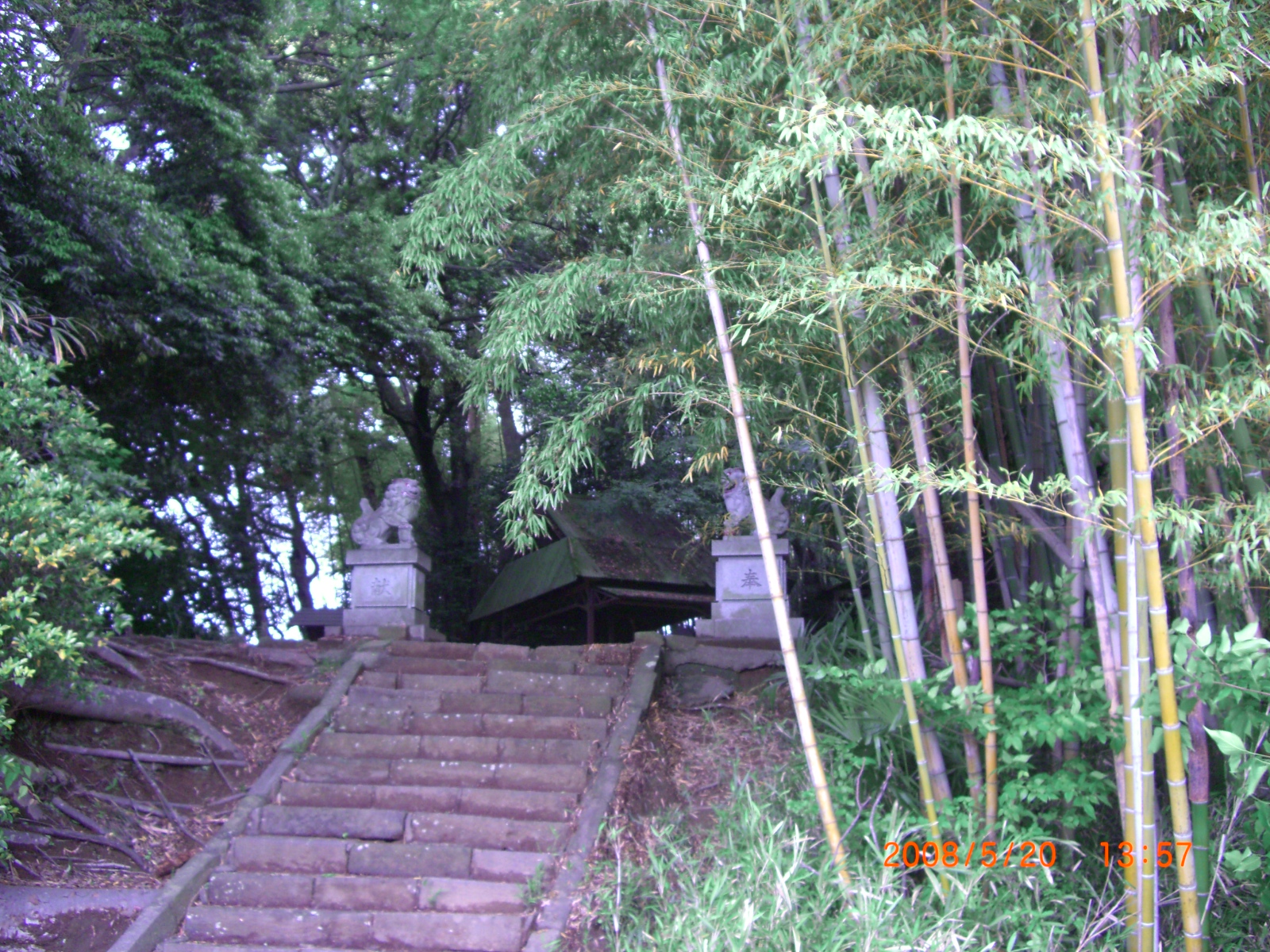 志津城高台階段